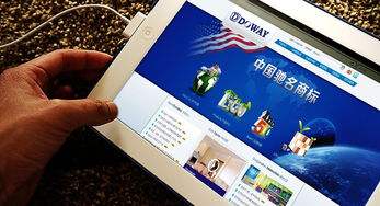 匯點品牌 專業(yè)驅(qū)動，塑造涂料行業(yè)的品牌新高度